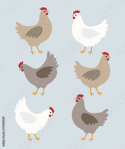 Chicken set, hens in various colors.