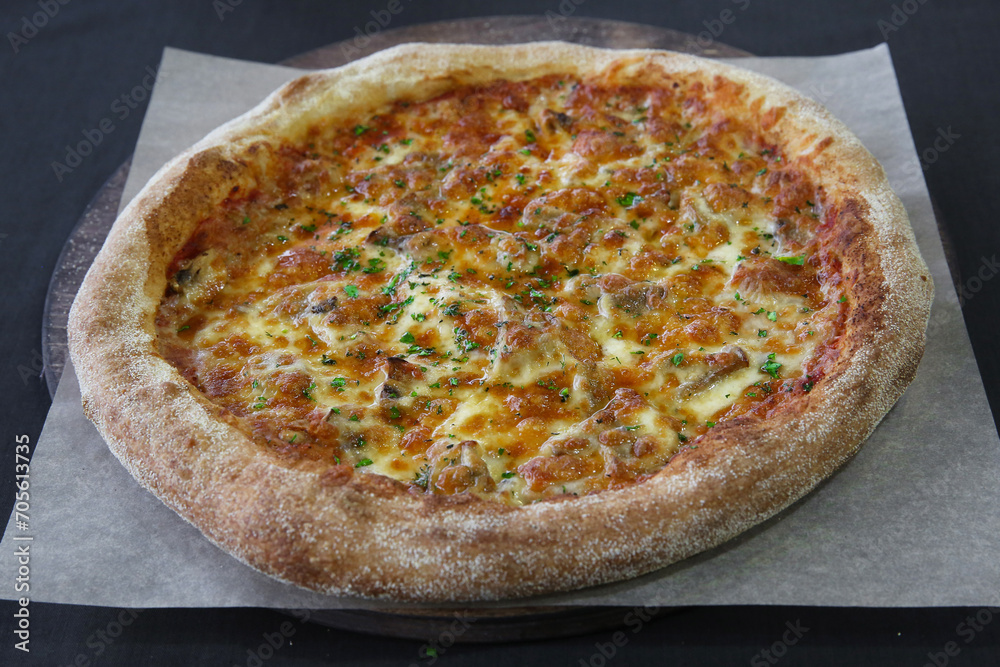 Hot pizza with mozzarella cheese and green basil close-up Hot pizza with mozzarella cheese and green basil close-up