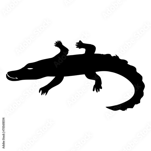 Alligator  Vector Illustration