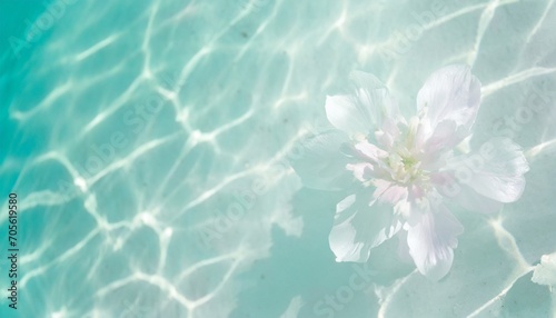 夏の思い出（水面、白い花）