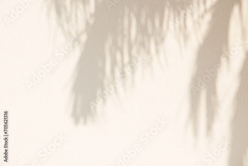 Light background with shadow from palm leaves on wall. photo