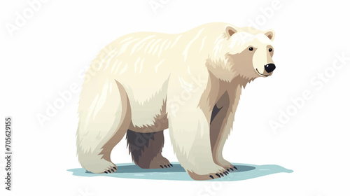 Polar Bear illustration vector