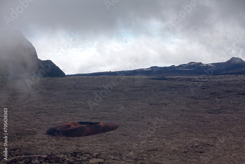 Formica Leo of the Piton de la Fournaise in Reunion island photo