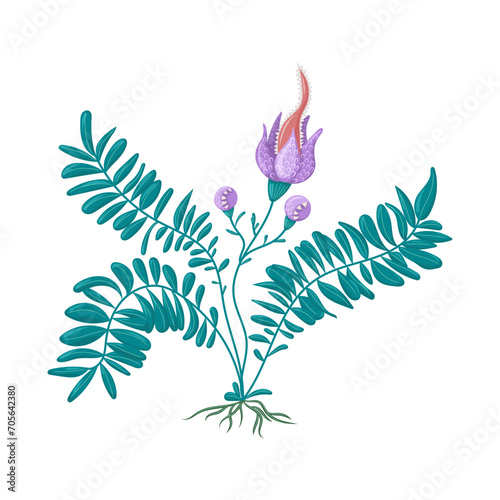 Fantasy fern flower botanical illustration