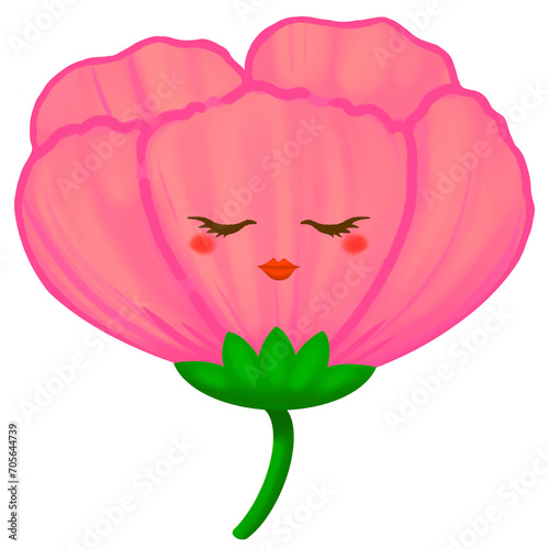Pink flower