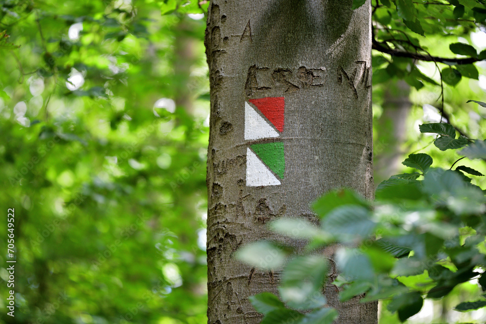 Tourist signs painted with paint on tree bark