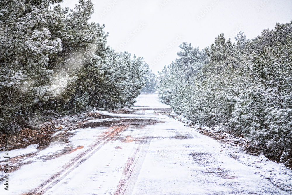 Obraz premium Tire tracks on snow, country road inside forest