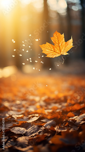 falling autumn leaves and branches nature in light translucent soft color pastel tinting on a sunny day