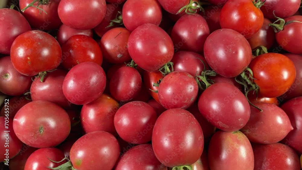 Freshly harvested pink and red tomatoes in box, top view Freshly harvested pink and red tomatoes in box, top view