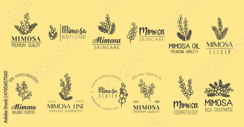 Mimosa flower minimal emblem, natural skin care cosmetics and extract embrace beauty of nature. Vector labels for cosmetic brand symbolize purity and grace through simple yet elegant blooms and fonts