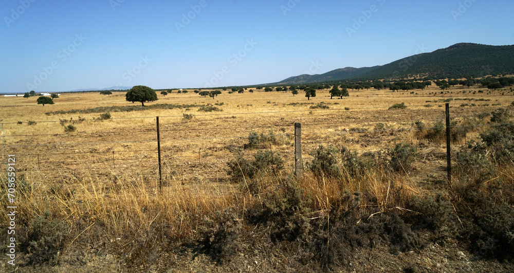 Landscape in Spain's Extremadura