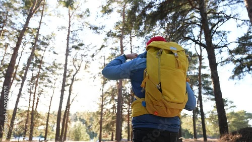 Wallpaper Mural Tourism concept. tourist outdoor recreation. walk in forest park with backpack. healthy lifestyle of tourist. walking in forest park. outdoor activities.Hiking tourist with backpack through the forest Torontodigital.ca