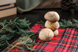lemon crinkle cookies on red plaid christmas and new year textile napkin with green pine tree branches decoration, books on background, cozy winter holidays concept