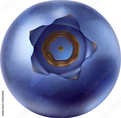 Realistic raw isolated ripe blueberry. 3d vector plump, deep blue fruit with a smooth surface, displaying vibrant color and a fresh, natural appearance. Fresh and tasty wild forest or garden berry