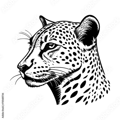 leopard head vector
