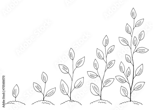 Sprout set graphic garden black white isolated illustration vector