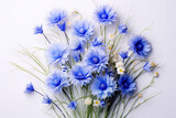 Blue cornflowers bouquet, summer flowers on white background, floral background, beautiful small cornflowers close up