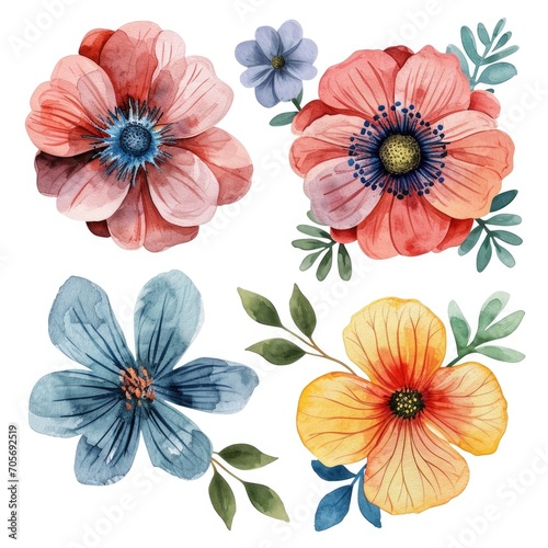 Set watercolor flowers isolated white background