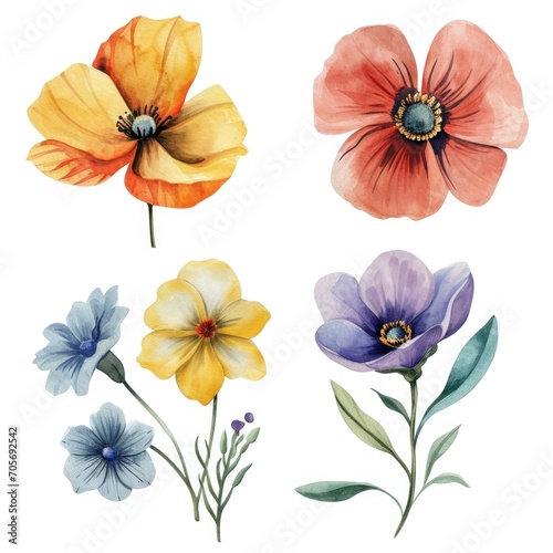 Set watercolor flowers isolated white background