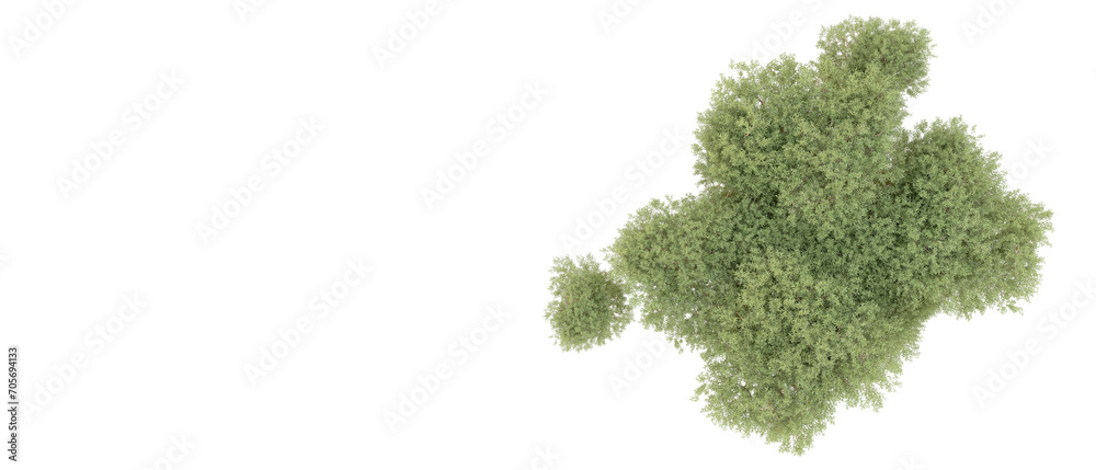 Obraz premium Green forest isolated on background. 3d rendering - illustration