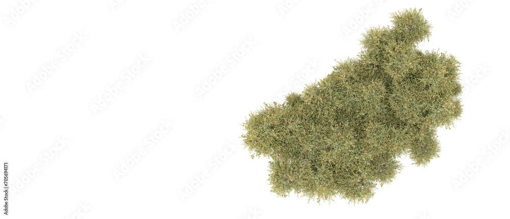 Fototapeta premium Green forest isolated on background. 3d rendering - illustration