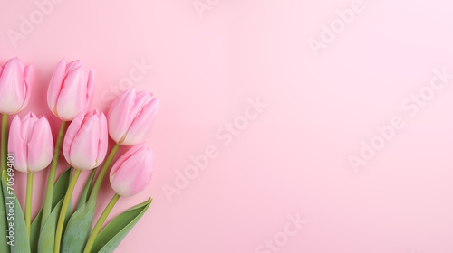 Tulips on a pink background. Flat lay, top view, space for text .