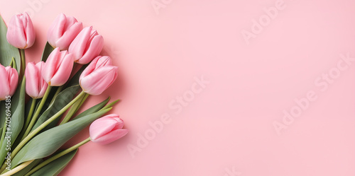 Tulips on a pink background. Flat lay, top view, space for text . © Mikołaj Rychter