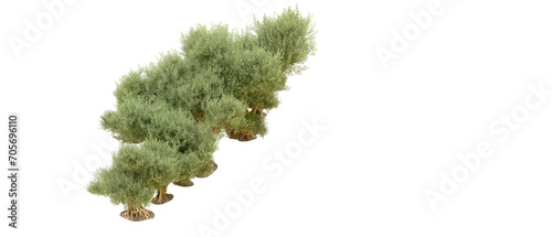 Fototapeta Naklejka Na Ścianę i Meble -  Green forest isolated on background. 3d rendering - illustration