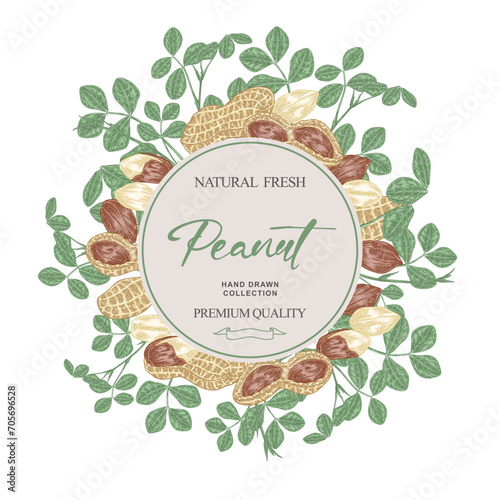 Round label with Peanuts. Hand drawn Peanut palnt. Vector illustration in sketch style.