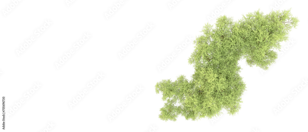 Green forest isolated on background. 3d rendering - illustration