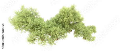 Green forest isolated on background. 3d rendering - illustration