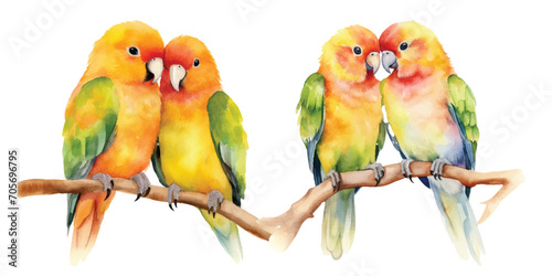 cute Watercolor A pair of Lovebirds