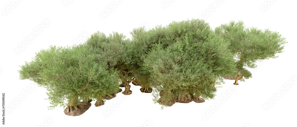 Fototapeta premium Green forest isolated on background. 3d rendering - illustration