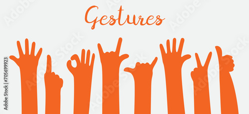 Set of hands showing different gestures. Isolated vector illustration