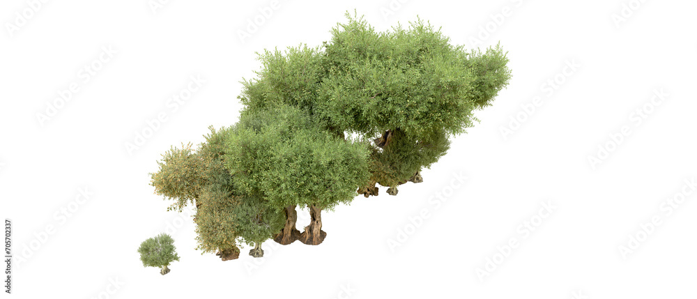 Fototapeta premium Green forest isolated on background. 3d rendering - illustration