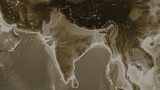 India outlined. Sepia elevation map