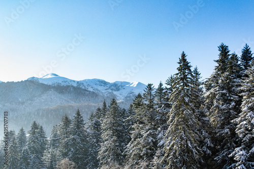 ośnieżone drzewa i góry, Tatry, Polska, Kościelisko, Karpielówka, widok na góry