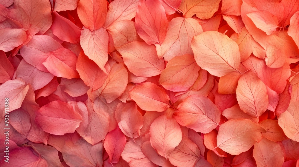 Abstract background with leaves in peach, red and pink colors
