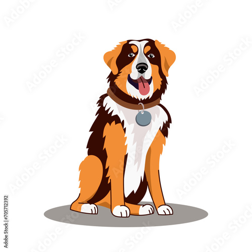 A dog of the Sennenhund breed. Vector illustration on a white background