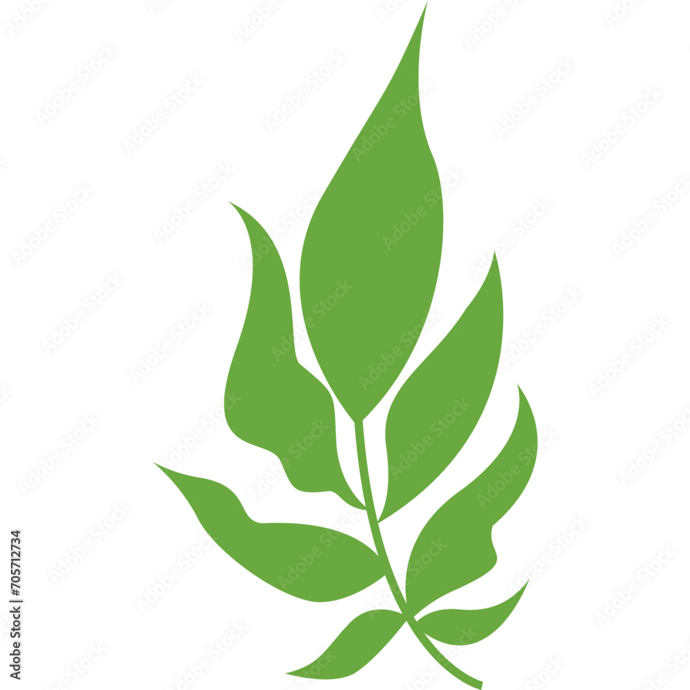 Obraz premium Leaf Shape Minimalist