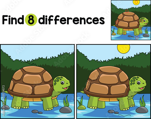 Turtle Animal Find The Differences