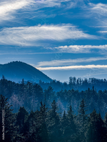 Fototapeta Naklejka Na Ścianę i Meble -  Landscape with mountains and forest on a foggy weather with clear blue sky and a few clouds in the Carpathians Mountains 