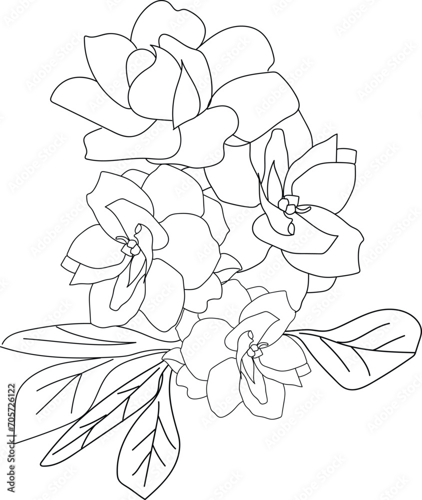 Gardenia flower drawing, gardenia magnolia coloring pages easy gardenia ...