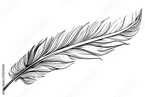 Feather engraved in sketch style isolated on white background. Vintage hand drawn ink sketch.