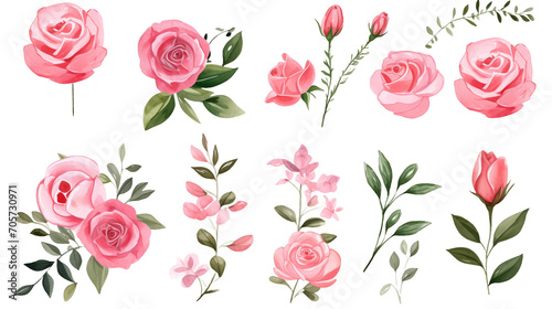 Watercolor elements pink roses on a white background © WARIT_S
