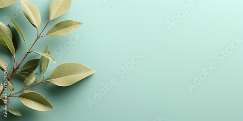 Mockup leaf of tree and plant. Ecology, bio and natural products concept, Close up view of leaves composition, minimal style
