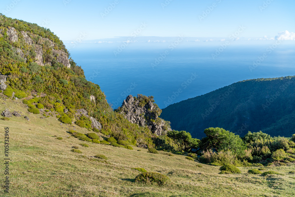 Fototapeta premium Fanal Forest Panoramic Views at Madeira
