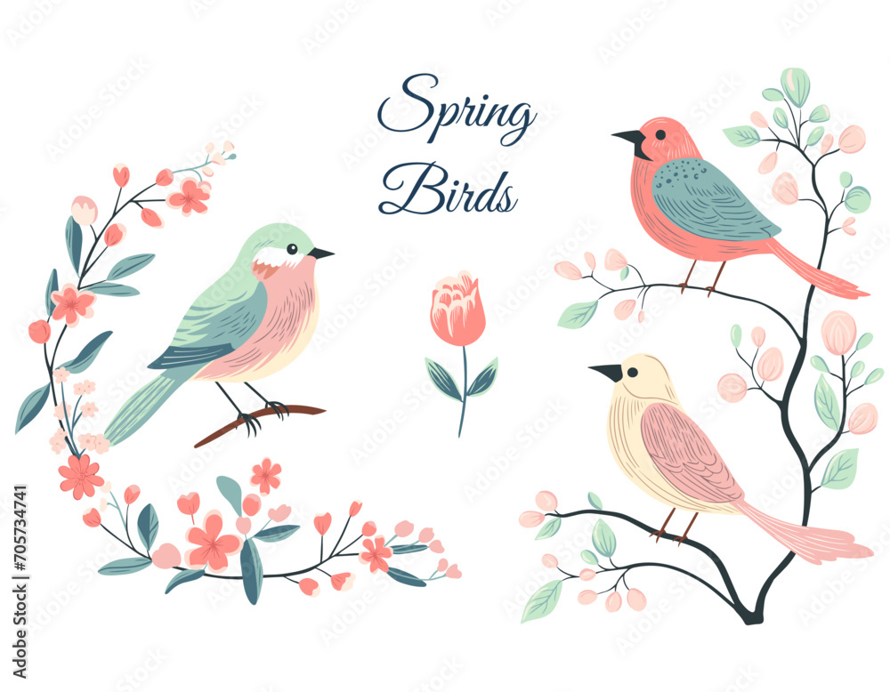 Colorful birds on different branches. Spring and summer time. Hand drawn vector illustration
