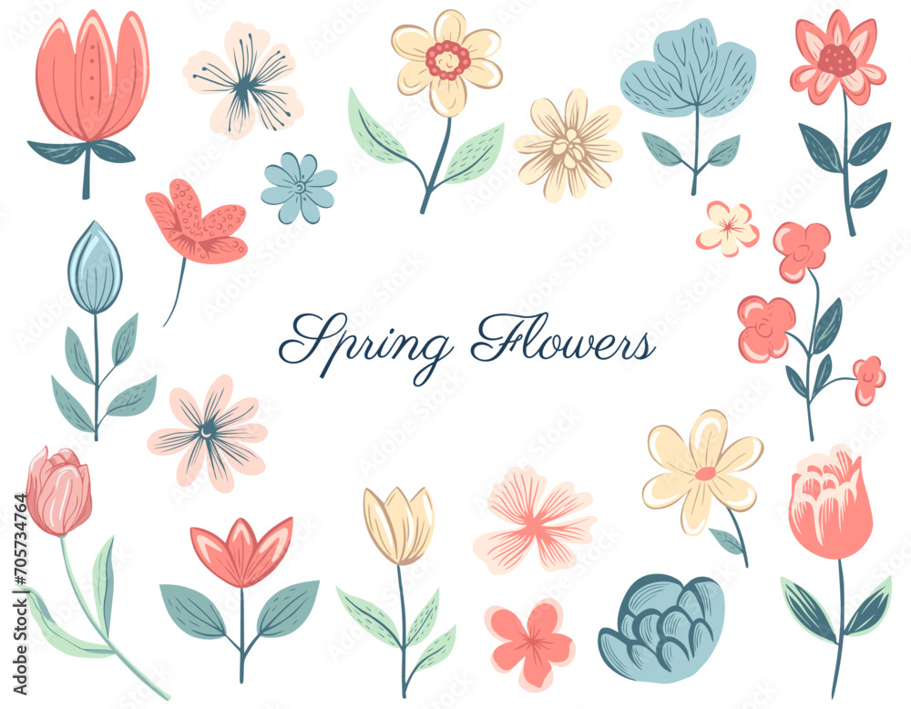 Spring floral collection with roses, daisies, flowery compositions. Hand drawn vector spring elements.