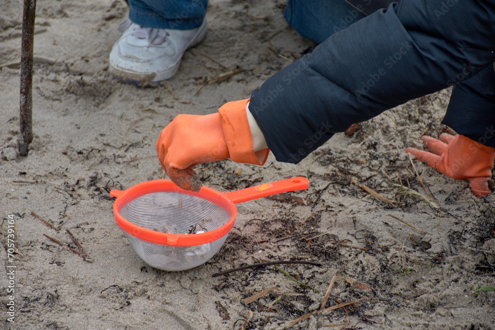 The volunteers to collect the pellets on the beaches of Galicia use strainers, buckets, gloves The volunteers to collect the pellets on the beaches of Galicia use strainers, buckets, gloves